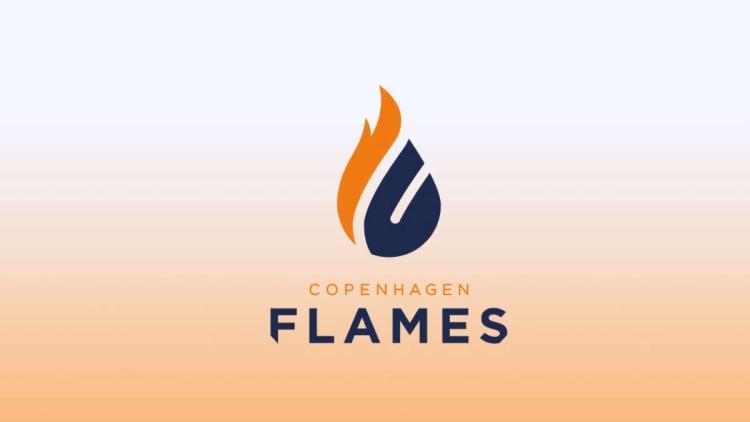 Rumor: birdfromsky could be new Copenhagen Flames captain