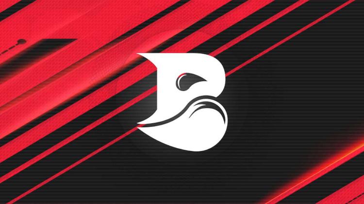 Bleed eSports interested in acquiring Virtus.pro roster