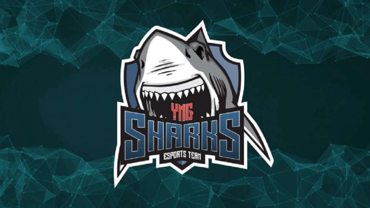 Rumors: rdnzao will become a new player of Sharks Esports