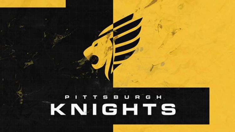 Zineel became the new Knights player, replacing ZPS