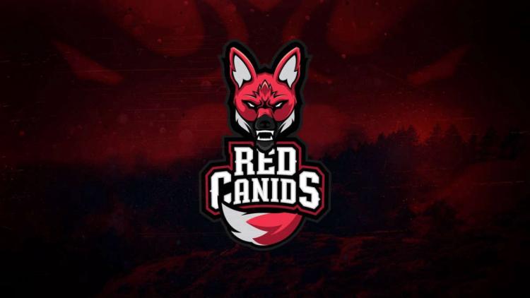 Rumors: RED Canids to part ways with current roster to sign Team Academicos do Tucuruvi