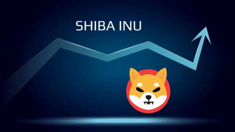 Meme accumulation - whales bought 2,500,000,000,000 Shiba Inu per day