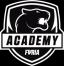 FURIA Academy