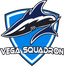 Vega Squadron