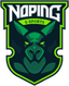 NoPing eSports