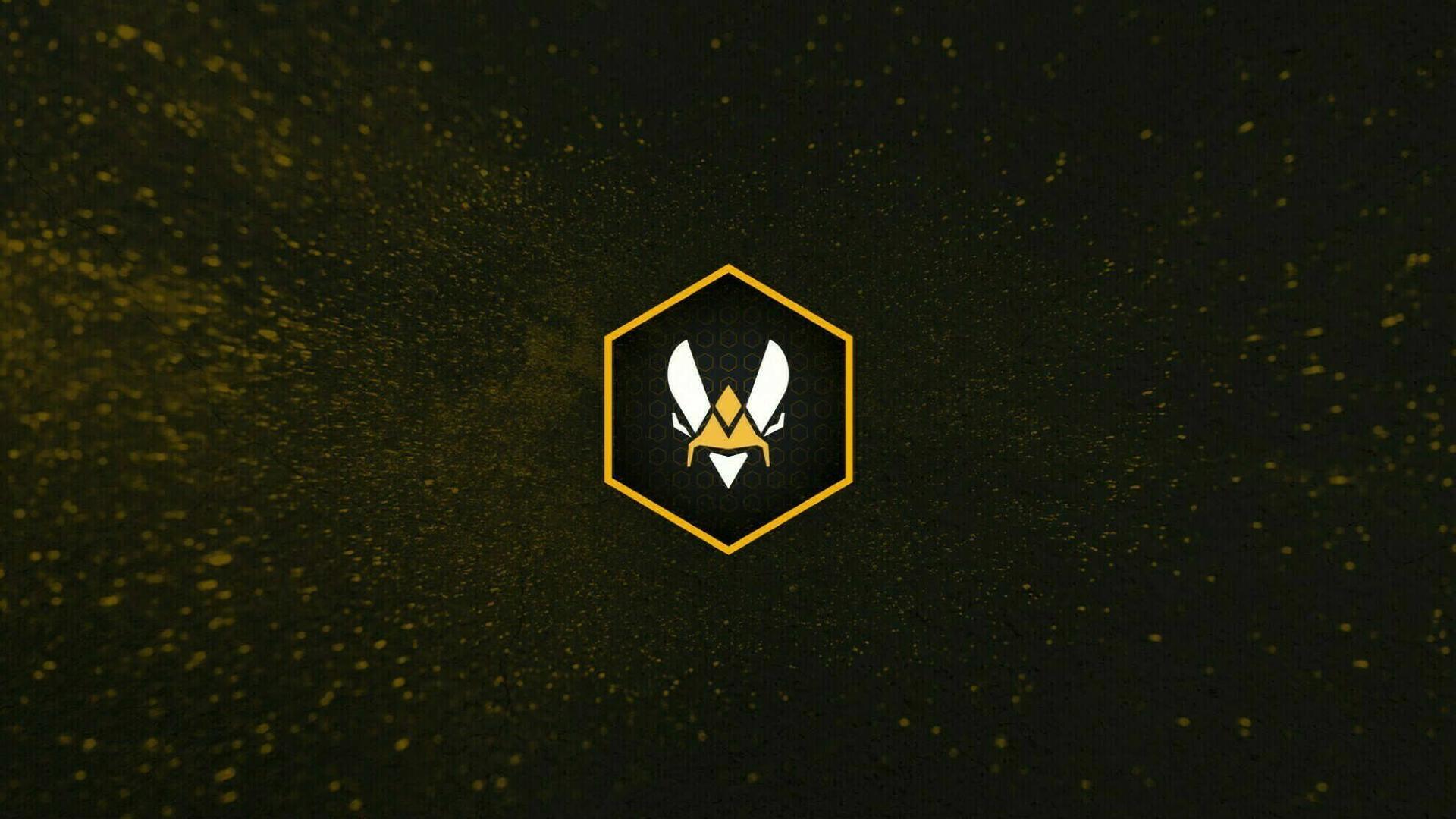 Vitality Secures Team of the Year Honors for 2023 in Dominant Fashion