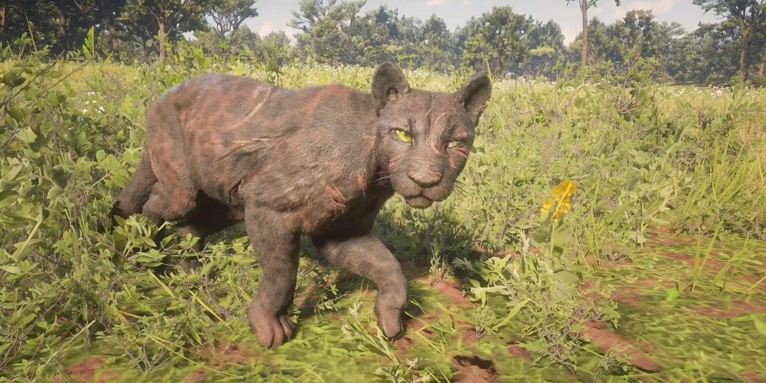 Legendary Panther Hunt Gone Wild: Red Dead Redemption 2 Player's Hilarious Encounter with Unexpected NPC Heroes