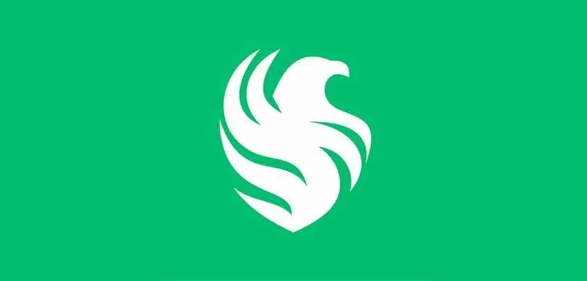 Team Falcons Unveils CS2 Academy with NaToSaphiX as Head Coach