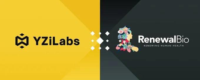 YZi Labs Invests in Renewal Bio: A Revolutionary Step in Regenerative Medicine to Overcome Organ Shortages