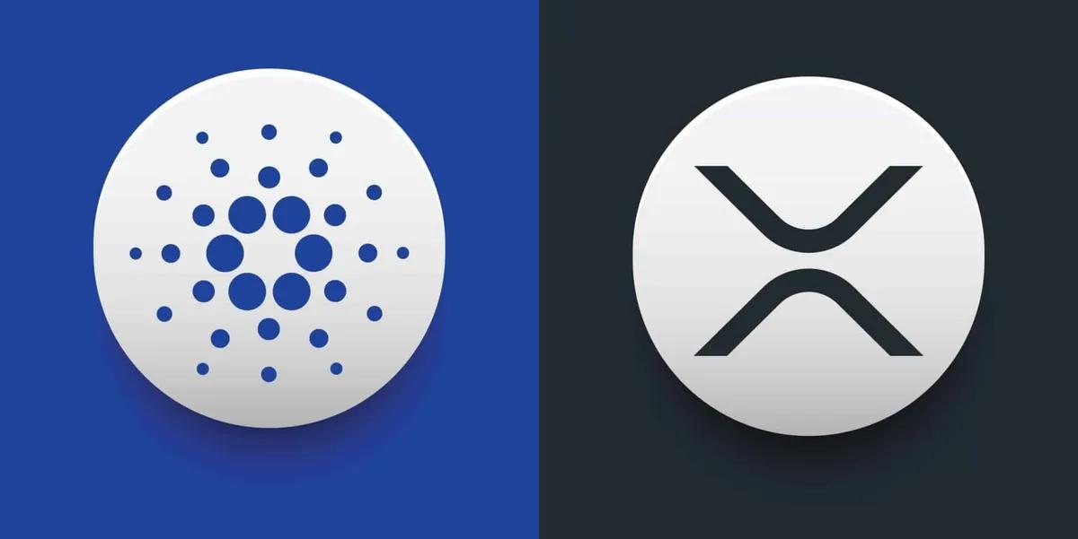 Mike Novogratz Issues Stark Warning to XRP and Cardano