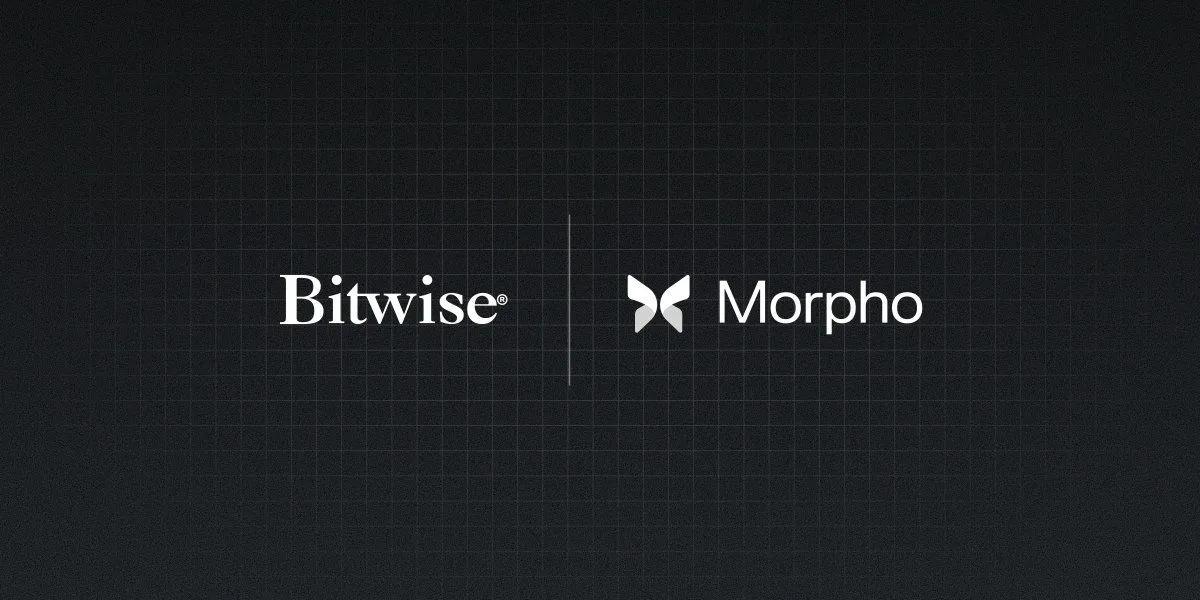 Bitwise Launches On-Chain Vault in Partnership with Morpho