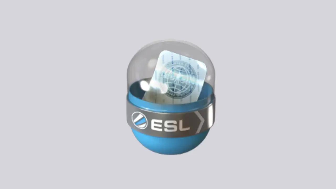 Unique Prototype Item Found in CS2: The Only Known EMS Katowice 2014 Legends Capsule