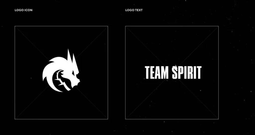 Potential League of Legends Team Spirit roster has appeared online