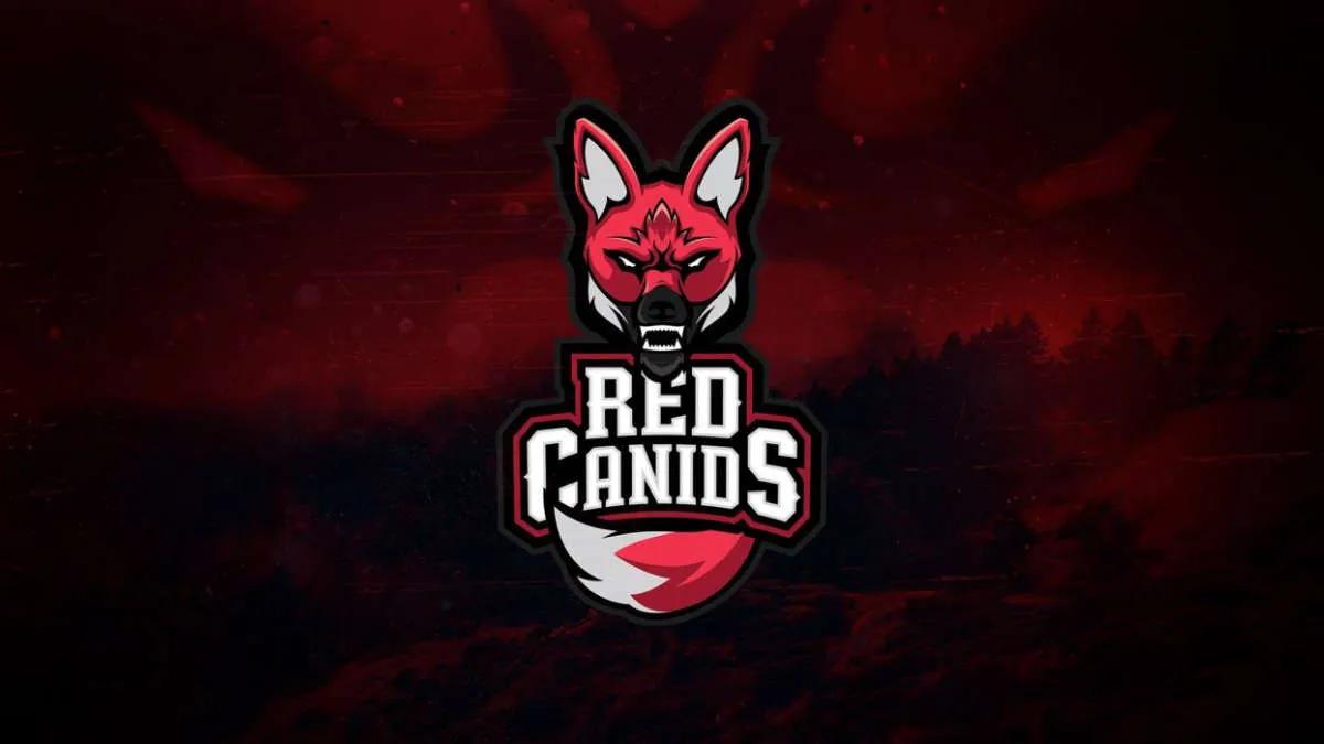 Rumors: RED Canids to part ways with current roster to sign Team Academicos do Tucuruvi