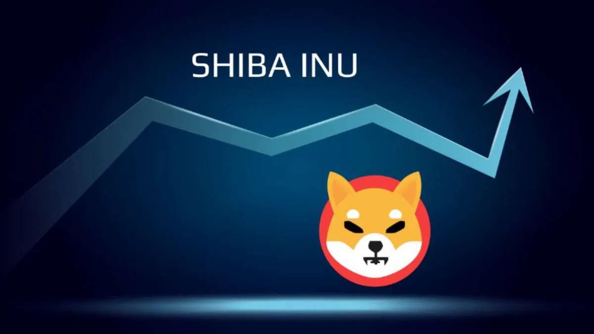 Meme accumulation - whales bought 2,500,000,000,000 Shiba Inu per day