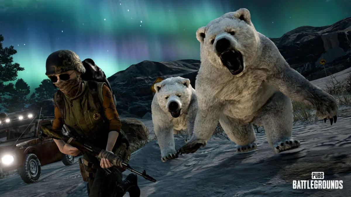 Polar bears, new scope and updated weapon balance - PUBG patch 22.1 changelog