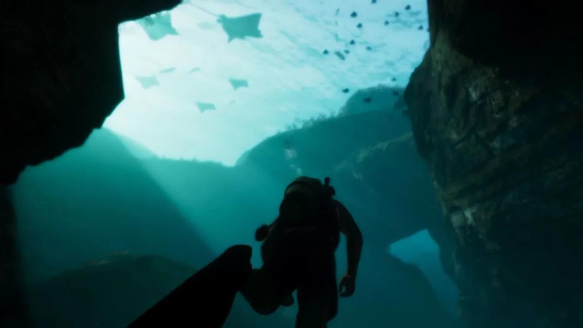 GTA 6 Might Feature Its Own Version of the Miami Seaquarium