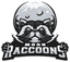 Moon Raccoons