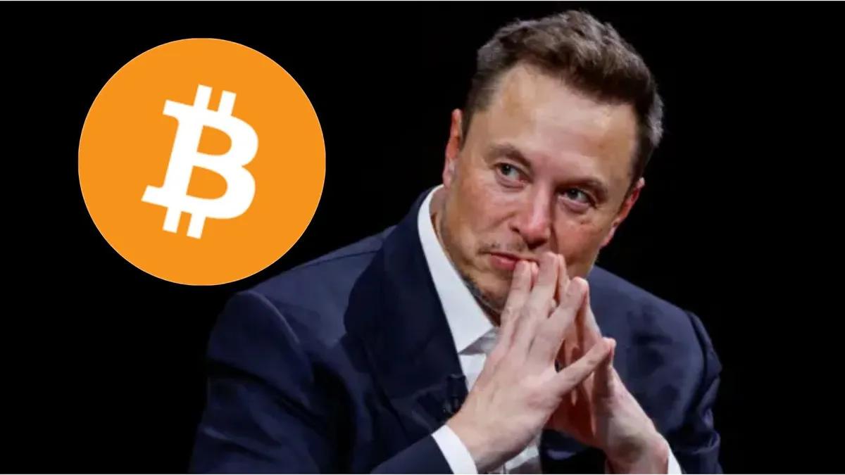 Elon Musk Shills Bitcoin Again