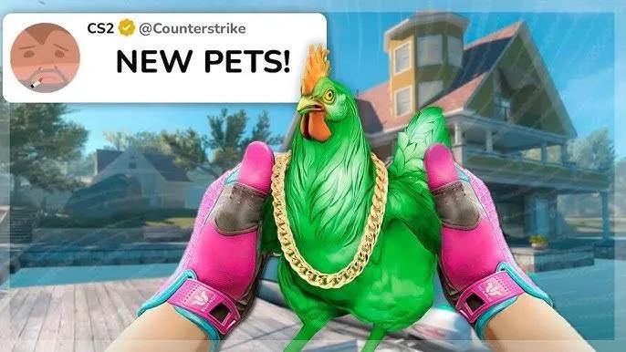 Dataminers Discover New Clues: Pets May Be Coming to CS2