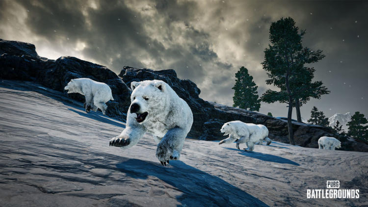 Polar bears, a new crosshair and updated weapon balance are the PUBG patch 22.1 changelog. Photo 1