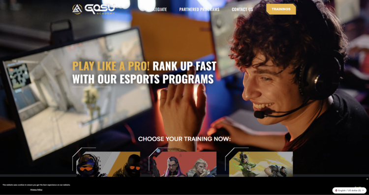 Best CS2 Coaching Websites 3