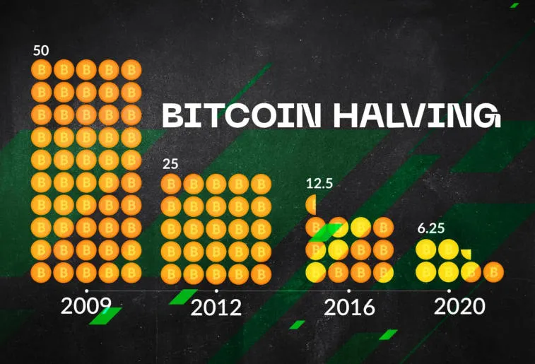 The creator of the Stock To Flow model believes that BTC will reach $100,000. Photo 1