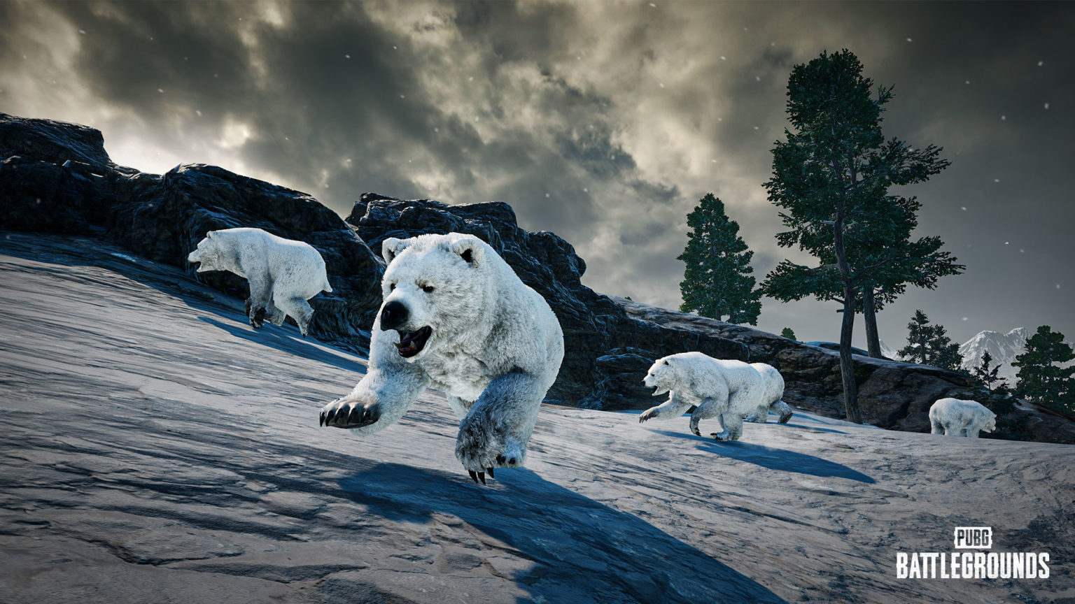 Polar bears, a new crosshair and updated weapon balance are the PUBG patch 22.1 changelog. Photo 1