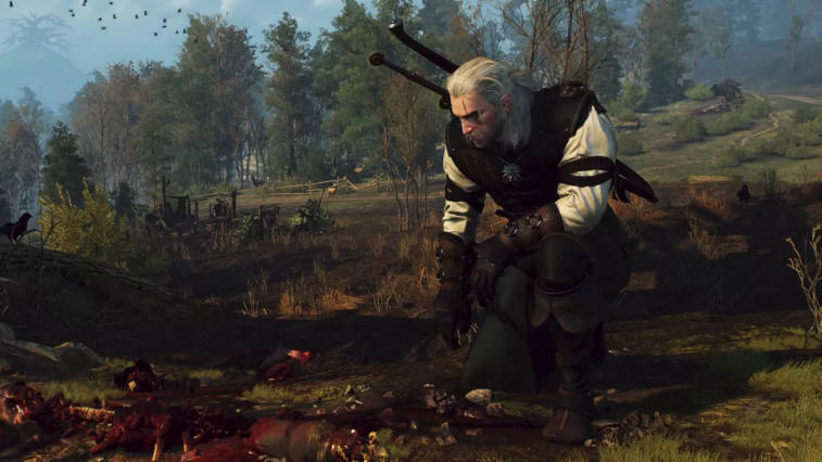 The Witcher 3 Patch 4.04: Enhanced Grass, Bug Fixes, and Nintendo Switch Features. Photo 1